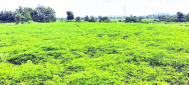 రైతులపై మరో భారం 