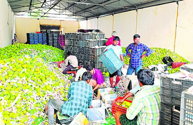 మామిఢల్