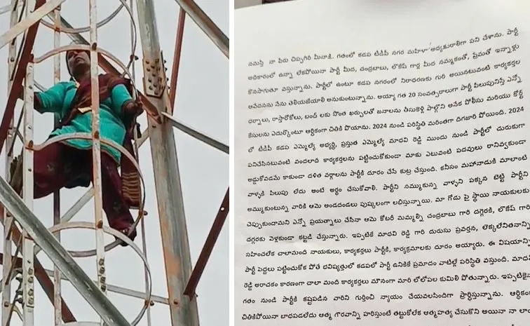 TDP Leader Meenakshi Letter To Chandrababu