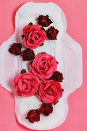 Menstrual Hygiene Day : check how women trust social media for period advice1