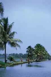 Rainy season: The best tourist places in Tamil Nadu, Kerala4