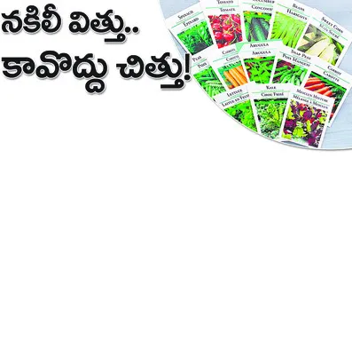 విత్త