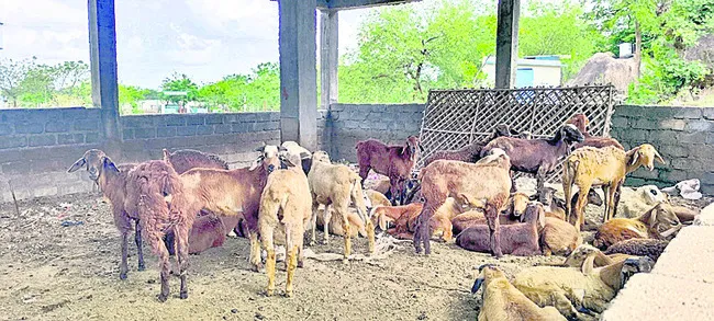 గొర్ల కొట్టంగా అంగన్వాడీ కేంద్రం