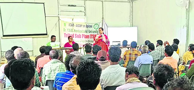 మిరియం సాగుపై అవగాహన

