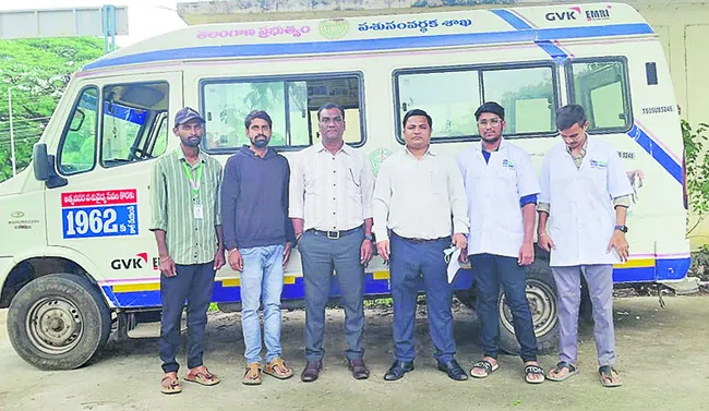 పశువులకు వైద్యం అందించండి
