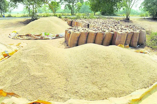 ధాన్య