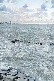 ocean color is changing as a consequence of climate change1