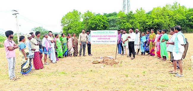 భూసార