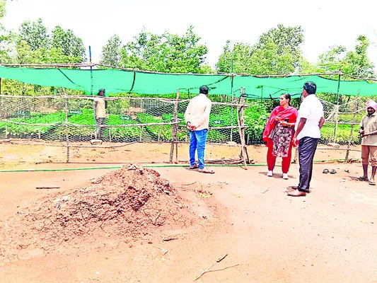 నర్సర
