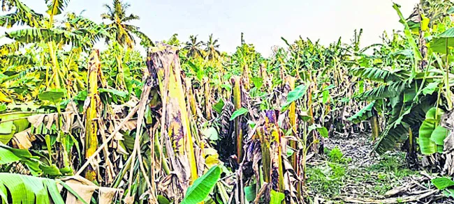 అర్ధర