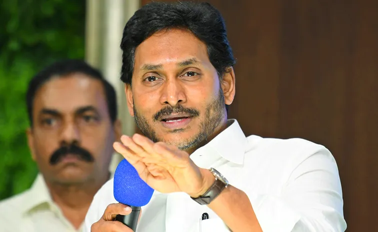 YS Jagan Serious Comments On CM Chandrababu