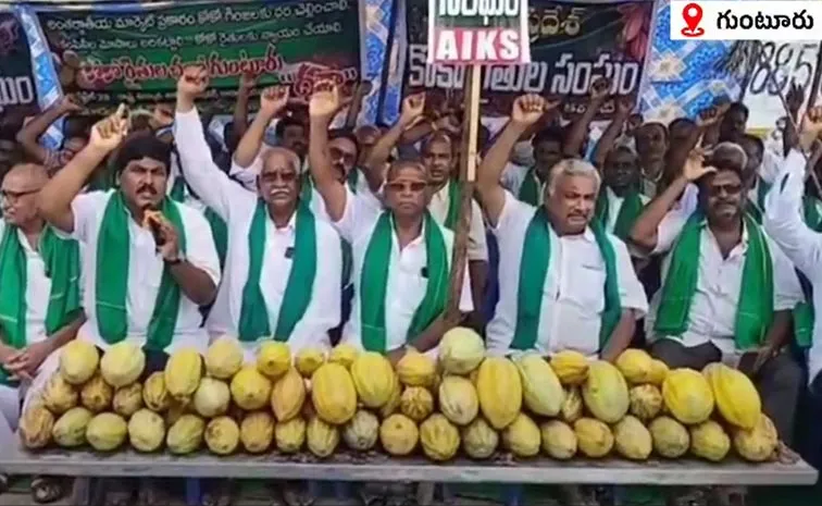 కోకో రైతులు ఆందోళన!