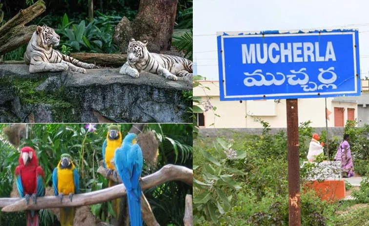 200 acres zoo park Near Fouth City In Telangana