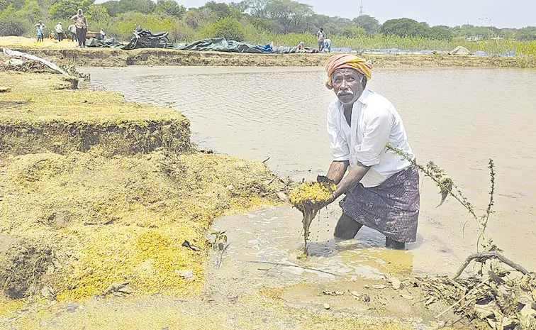 Wet Grain At Grain Purchase Centers For Untimely Rains: Telangana