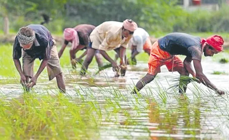 rains expected to boost agriculture growth1