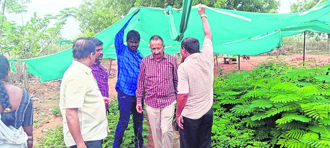 నేడు