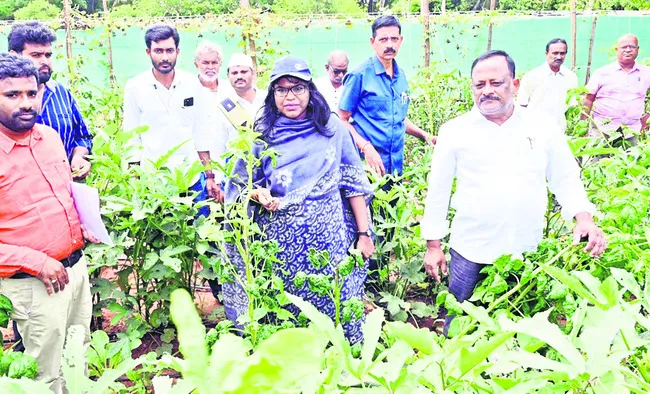 ప్రకృతి వ్యవసాయానికి ప్రోత్సాహం