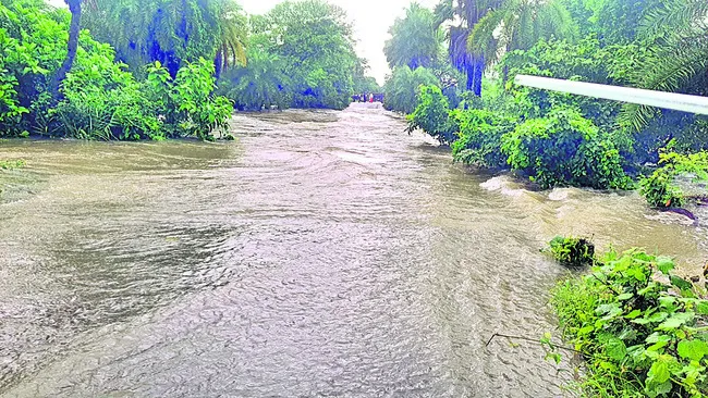 లో లె