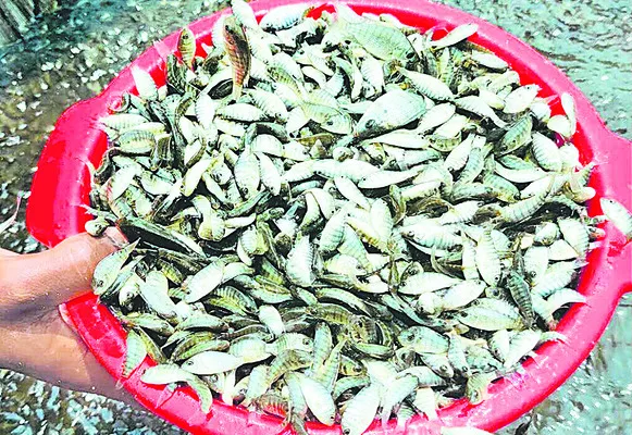 చెరువులోకి చేరేదెన్నడో! 
