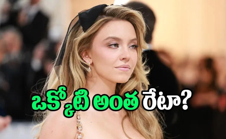 Sydney Sweeney Bathwater Soap Details