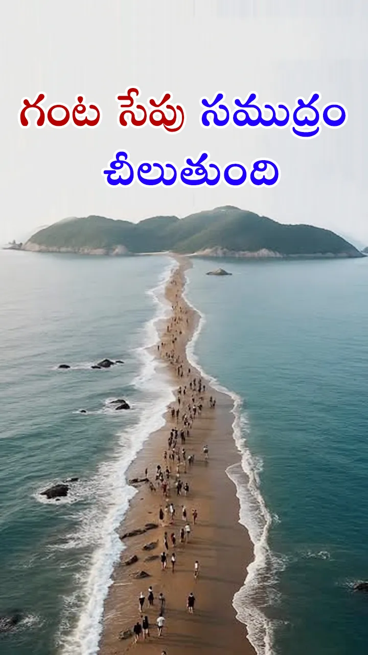 south korea miracle jindo sea will split hour