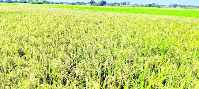 ‘సబ్సిడీ’కి మంగళం