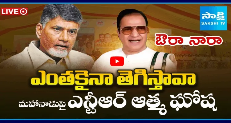 ఎంతకైనా తెగిస్తావా.. మహానాడుపై ఎన్టీఆర్ ఆత్మ ఘోష