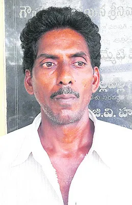 పెట్ట