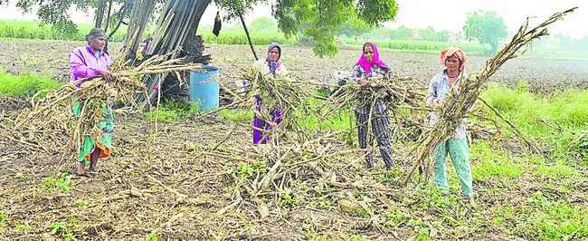 ఉపాధి..శిక్షణ మారుమూల పల్లెల్లోని మహిళలు కూడా సెట్విన్