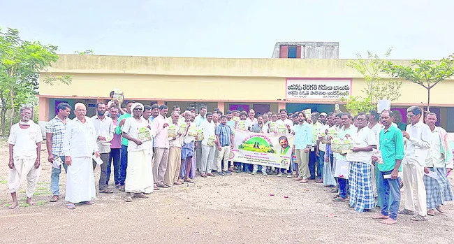 పంట మార్పిడితోనే అధిక దిగుబడి