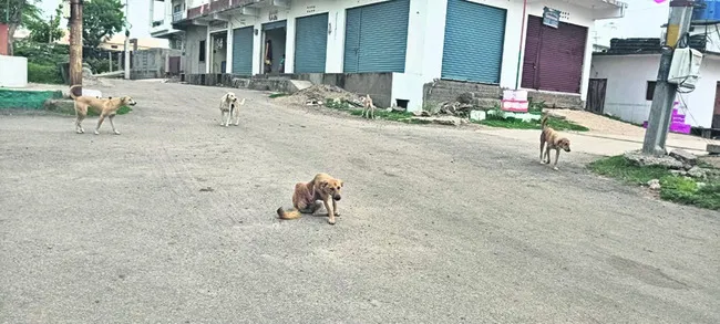 టేక్ర