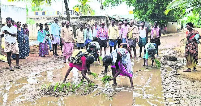 రోడ్డుపై వరినాట్లు!