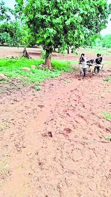 మంచం