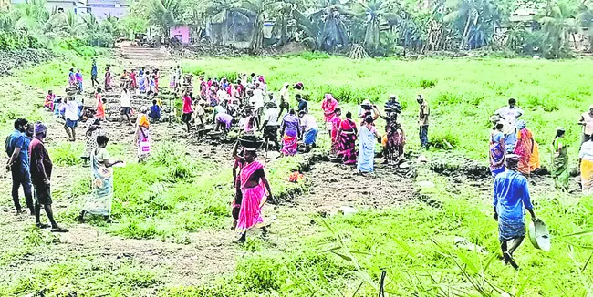 బాకా