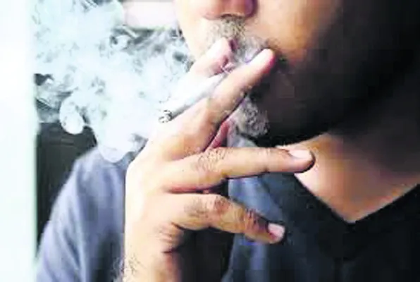 పొగాక