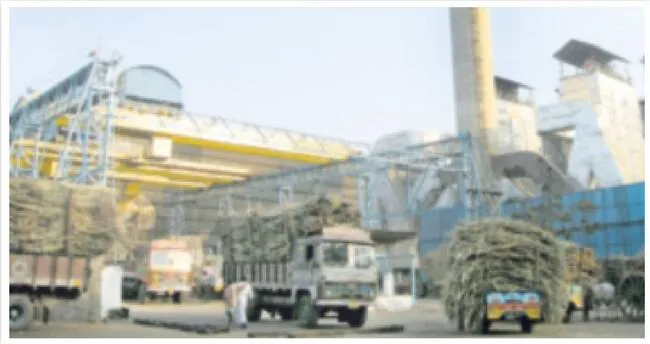 మనుగడ ప్రశ్నార్థకం