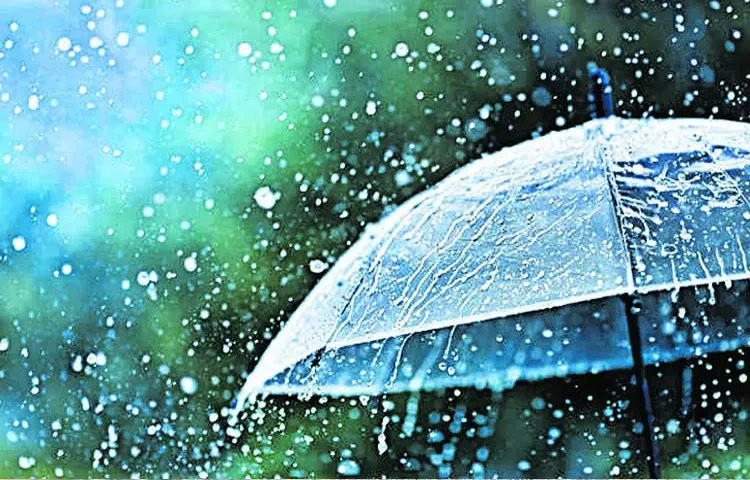 Light to moderate rains likely in the state in 48 hours