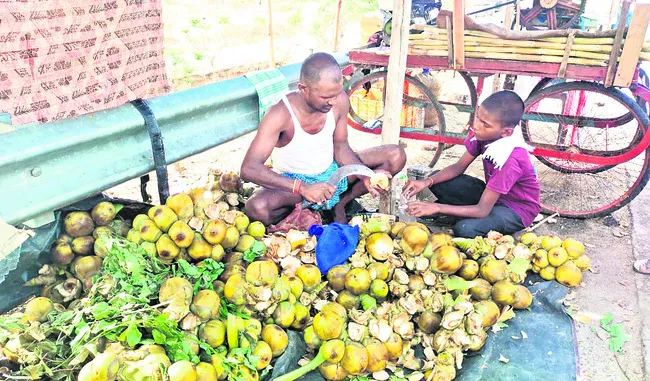 తాటిమ