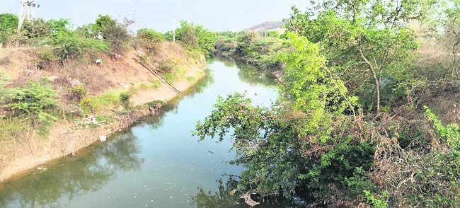 ఎస్సా