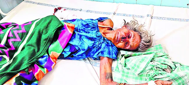మామిడ