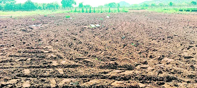 వైఎస్సార్సీపీ రాష్ట్ర అనుబంధ విభాగ కమిటీలో చోటు