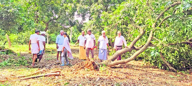 అకాలవ