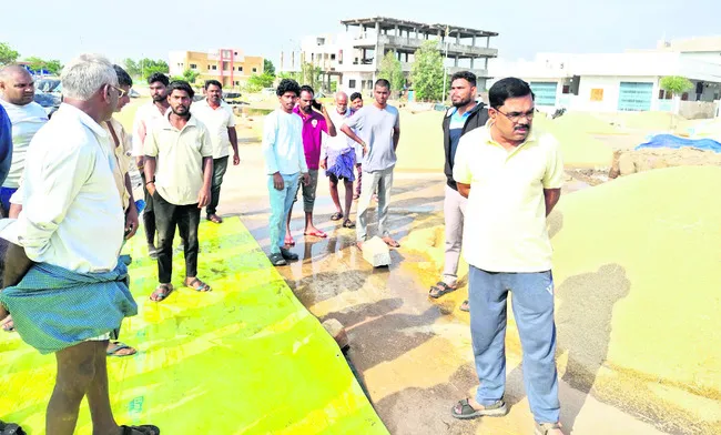 తడిసిన ధాన్యాన్ని ప్రభుత్వమే కొనుగోలు చేస్తుంది 