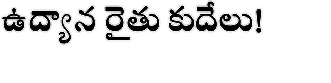 ● తోడ