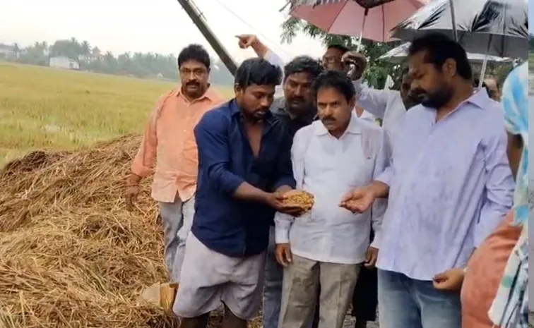 AP Govt Should support farmers Dadisetti Raja Demands