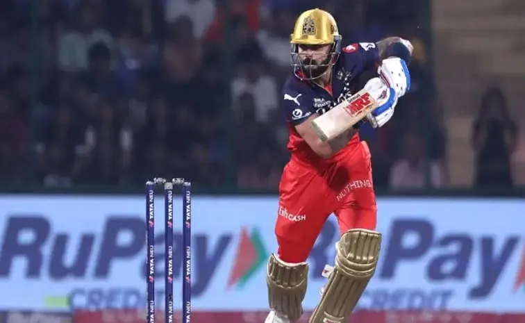 IPL 2025, RCB VS CSK: Virat Kohli Creates History For Most 500 Plus Scores In A Season