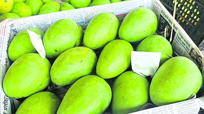 ‘ఎన్