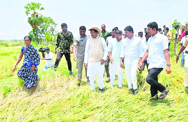 నష్టప