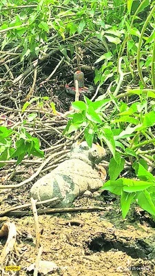 విషపురుగు కాటుకు   వ్యక్తి మృతి