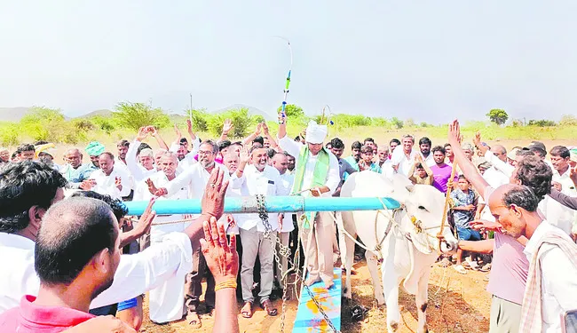 సత్తాచాటిన నంద్యాల జిల్లా ఎడ్లు 
